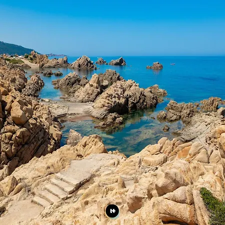 Too - Paradiso コスタ・パラディーゾ