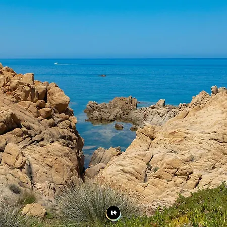 Too - Paradiso アパート *